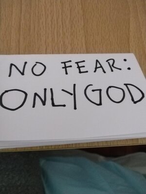 cover image of No Fear